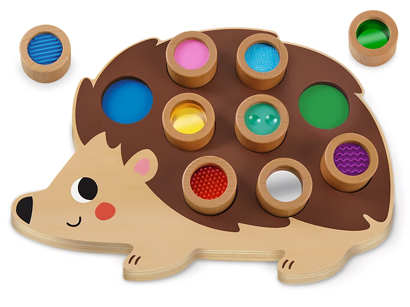 Explore and Match Sensory Hedgehog