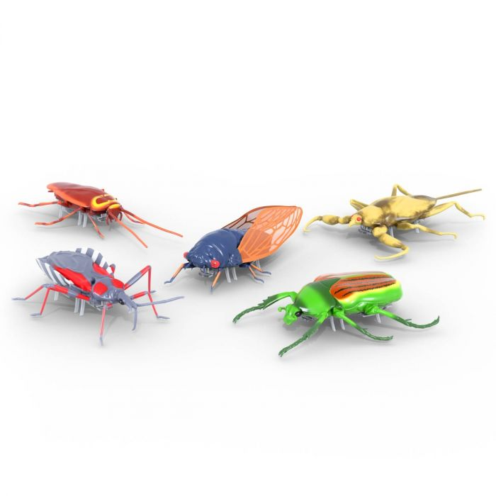 Hexbugs: Real Bugs